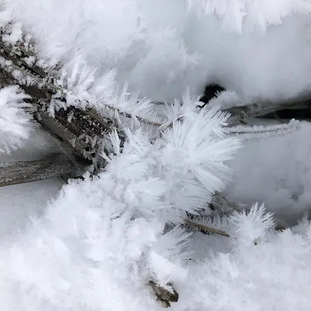 Bel'laret Apartment *